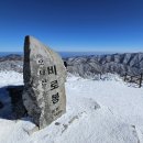 평창 오대산 중대 소종 | 오대산 등산코스 감성편 ~ 상원사 비로봉 지나 온세상 하얗던 날 이야기