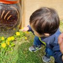 자연사랑펜션 이미지