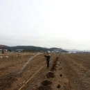 화원농장4 이미지