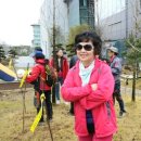 2014년 4월5일 식목일날 방송국 시민광장 옆 정원에 많은 묘목심었는데 몇나무가 건강하게 컸네요. 이미지