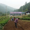 문명농장 이미지