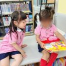 영월교육도서관 이미지