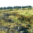 광명목장2 이미지