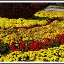 평화공원 내 이미지