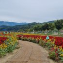 필봉산길 이미지