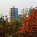 아이스랜드 - 남원시 남문로 402 | 아이스랜드