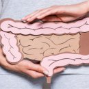 하이브짐 이미지