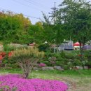 논산 탑정호글램핑 이미지