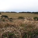 마장목장 이미지