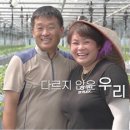 상호광고 이미지