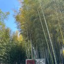 풍자농원 이미지