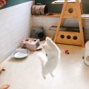 잔다냥 강동점 이미지