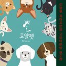 로얄펫 강아지분양 고양이분양 전주점 네이버블로그