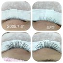 네일&속눈썹style | 신림 속눈썹 연장 신림언니네일 눈이 커보이는 CC컬 12mm 후기