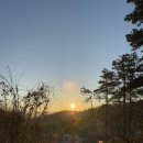 수원근교 애견동반 캠핑장 추천 안성 참살이 오토캠핑장