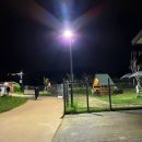 펫존 | 하남반려견운동장 미사아일랜드펫존 후기