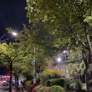 동부레기 막창 이미지