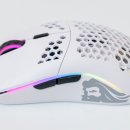 글로리어스 이미지