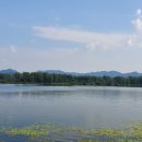 미건공인중개사사무소 이미지