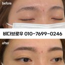 비다브로우