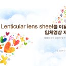 2017InSEA_수업사례_Lenticular lens sheet를 이용한 입체영상 제작 이미지