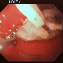 위례중앙동물의료센터 이미지