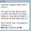 꼬미잇 이미지