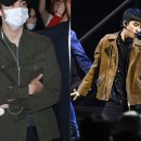 디오패션