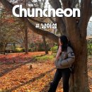 쉴만한강가 | 남이섬 11월 단풍은 어떨까? 사계절 아름다움 주의! 걷는 길마저 예술 춘천 가볼만한 곳