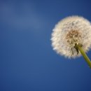 예사랑한의원 이미지