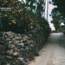 오소록 민박 이미지