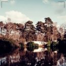 소래미소치과의원 이미지