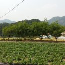 원주민부동산중개사무소 이미지