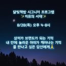 달빛 책방소