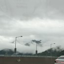 개똥이네캠핑장 | 서울 근교 애견동반 캠핑장 개똥이네 애견캠핑장 솔직 후기 비추