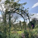 모네의 정원 이미지