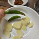 소나무집염소오리