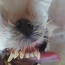 오창동물병원 이미지