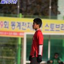 마동축구장 이미지
