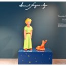 리틀프린스 이미지