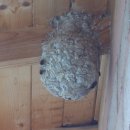 하늘내린황토민박 이미지