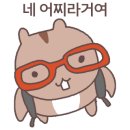 동그리케이크