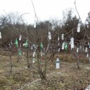 가재골 2농장 이미지