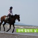 김제지평선홀스랜드