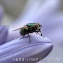 아바서비스커리어센터에서 스튜어디스 교육, 다녀온 솔직한 후기