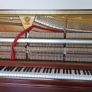 가야상회 이미지