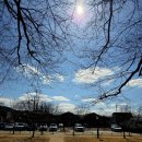 담양국수 | [여행후기] 담양관방제림 국수거리 당일치기 가족여행 추천