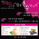 대전혼수박람회│결혼잘하기 12월 알뜰혼수박람회 (12월13일(토)~14일(일), 둔산동 삼성생명빌딩 1층) 이미지