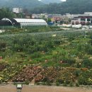 광명농장 이미지