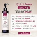 비담(비주얼 담당) 이미지